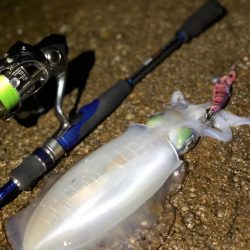 前日に引き続き