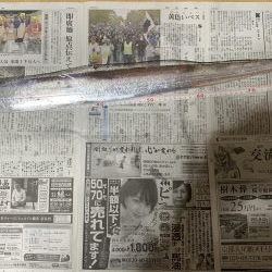 ギリドラゴン？