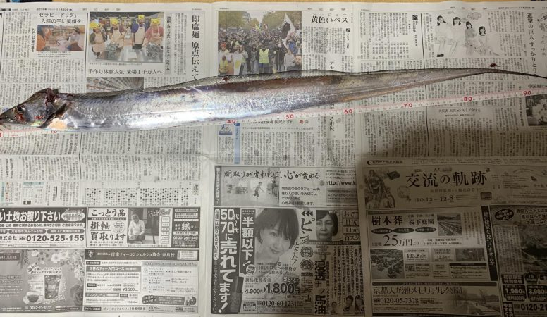 ギリドラゴン？