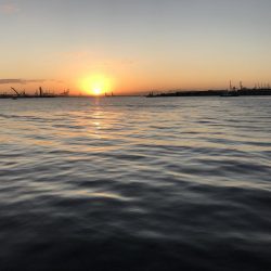 アタリが遠い。