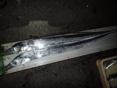 ドラゴンハントが効く！