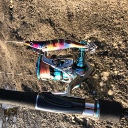 今シーズンエギングパート2