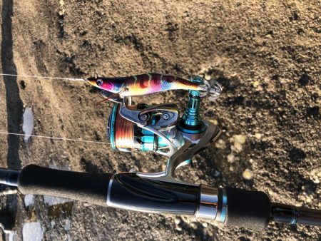 今シーズンエギングパート2