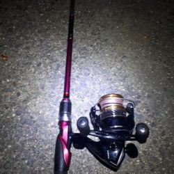 コチ30オーバー