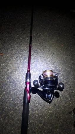 コチ30オーバー