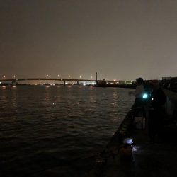 タチウオのち中アジ