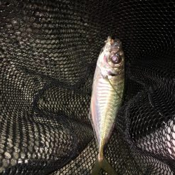 厳しいですね〜