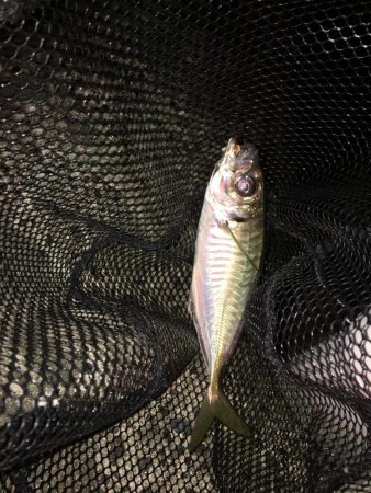 厳しいですね〜