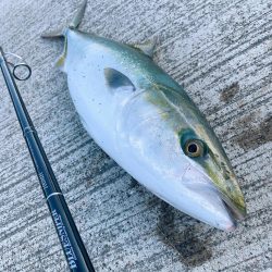 ショアジギング