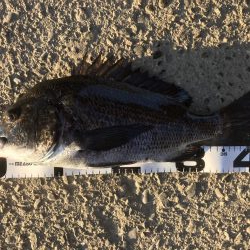 イチノ兄弟、釣果！