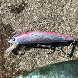 メジロ2匹は疲れる…