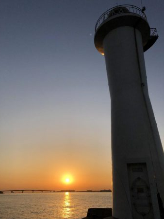 今年の青物も終わり？