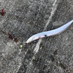 昨日のリベンジ