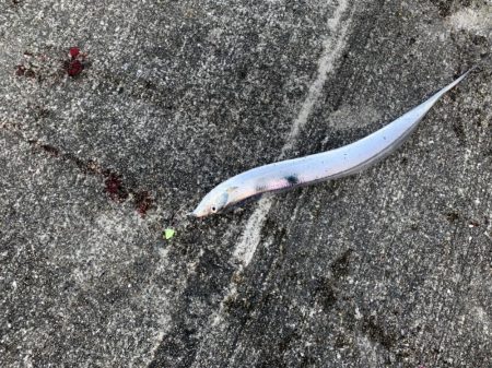 昨日のリベンジ