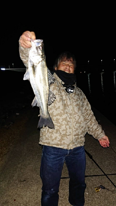 ジョイクロフィッシュ！