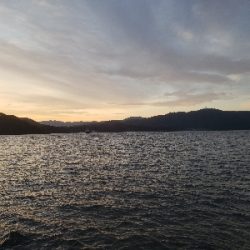 あかんかったー