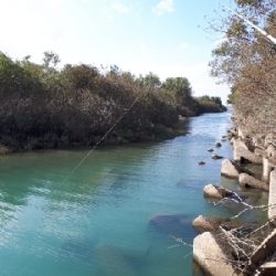 川辺ワンド攻略！！