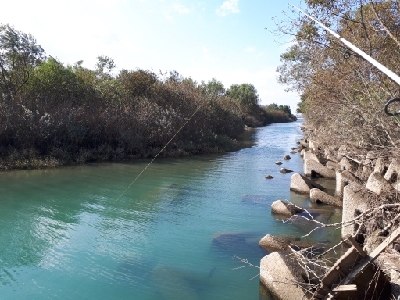 川辺ワンド攻略！！