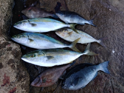 爆風の隠岐の島