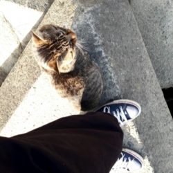 紀の川川辺ワンド釣行