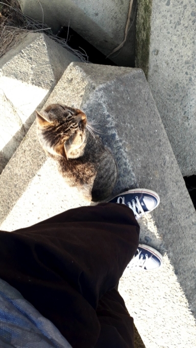 紀の川川辺ワンド釣行