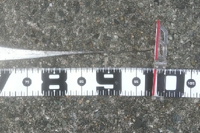 この時期にやっとタチウオ勢いづく