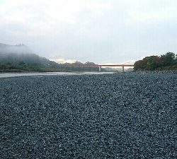 リバーシーバス