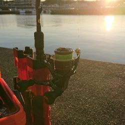 リベンジ釣行！in 田辺