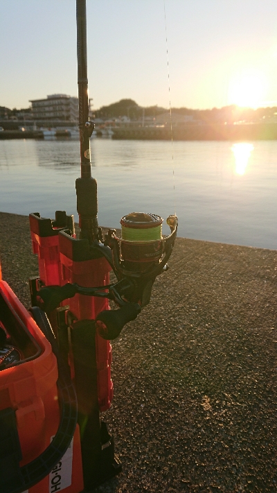 リベンジ釣行！in 田辺