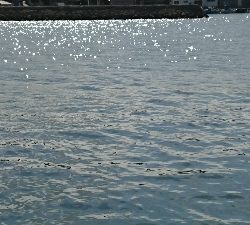 日帰り旅行ついでに