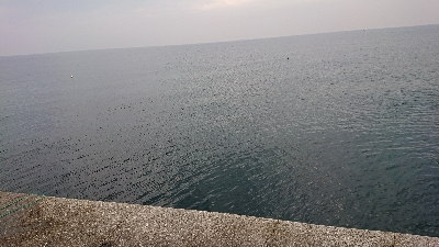 太刀魚狙ったのに