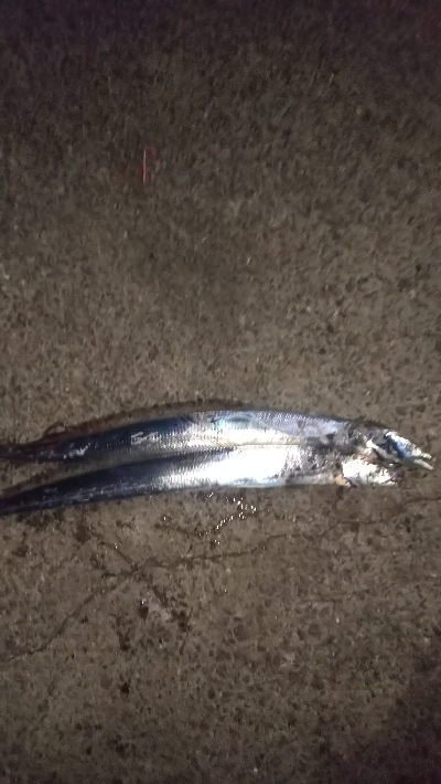 渋かったけど・・・