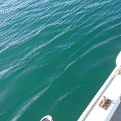 ボートエギング！