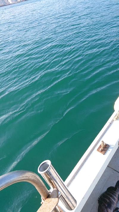 ボートエギング！