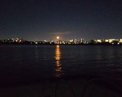 ルアーだけに反応？