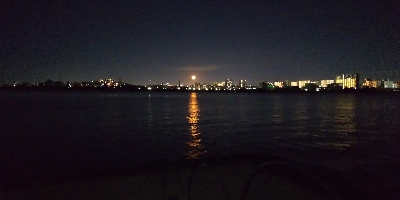 ルアーだけに反応？