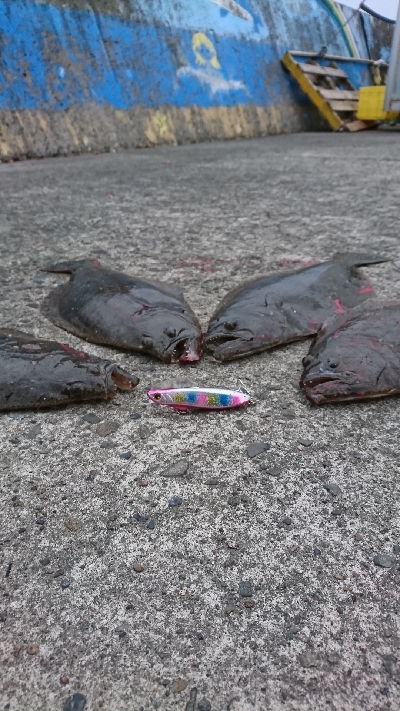 ヒラメ乱舞 爆釣