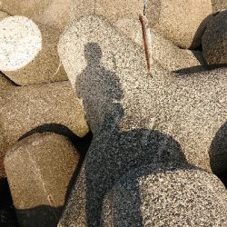 青物今日はお休み?