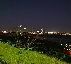 リベンジ、カレイ釣り