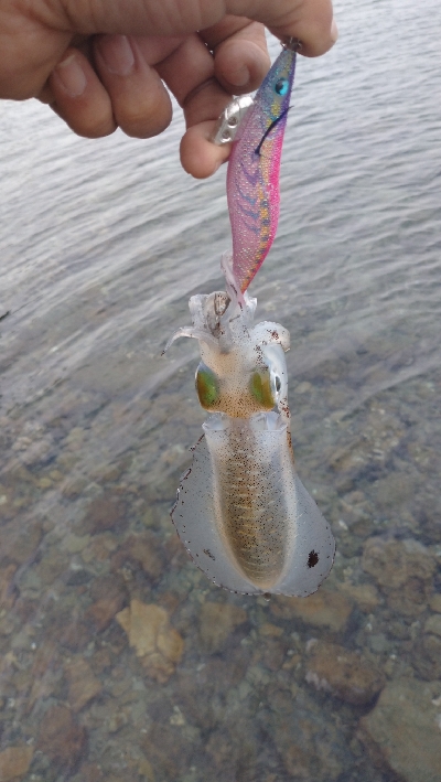 午後からエキング