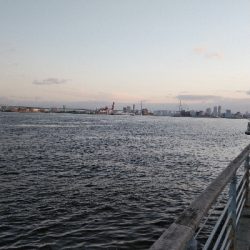 ジアイ短っ！！！