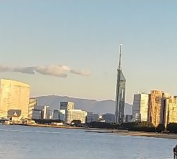 2019年11月30日釣行in姪浜漁港周辺
