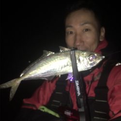 早朝アジング！回遊あった！☆GUNNING-STYLE