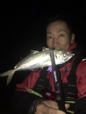 早朝アジング！回遊あった！☆GUNNING-STYLE