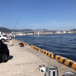 ショアジギング