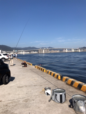 ショアジギング