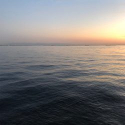 秋の釣りを満喫！