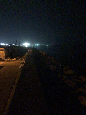 中アジがポロポロと