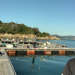 釣堀紀州さんにて