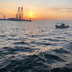 渋いショアジギ